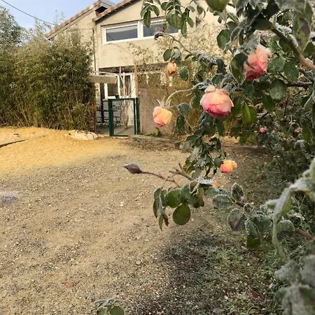 Chez Vincent Et Myriam De Charme Appartamento Aussonne